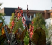2022 09 12 LongFellowGardens 062